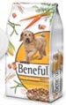 Beneful Healthy Radiance